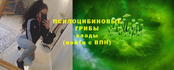 spice Краснослободск