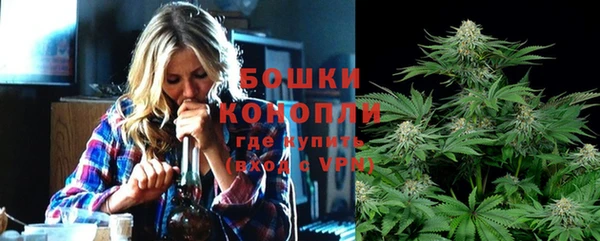 spice Краснослободск