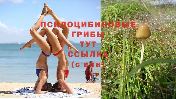 бутират Краснотурьинск